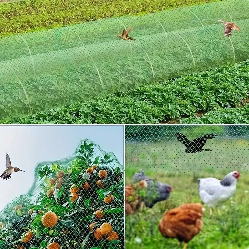 1pc 2x10m Garden Bird Netting Protects Vegetables Fruit Trees from Birds Deer Squirrels Safe