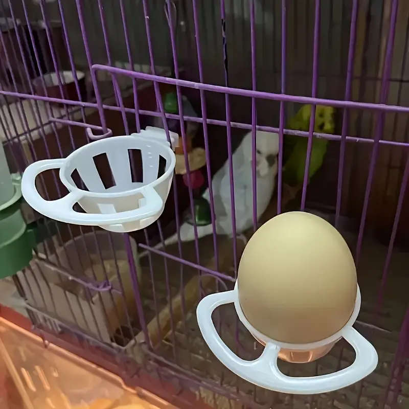 Bird Feeder