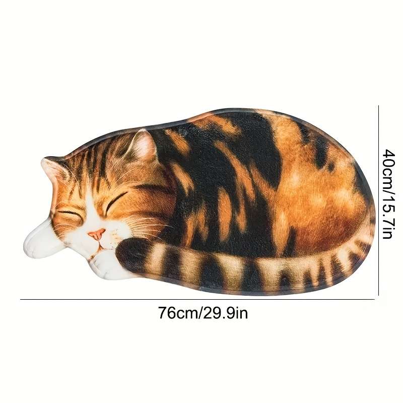 1Pc 40x76cm 15.75x30inch Floor Mat