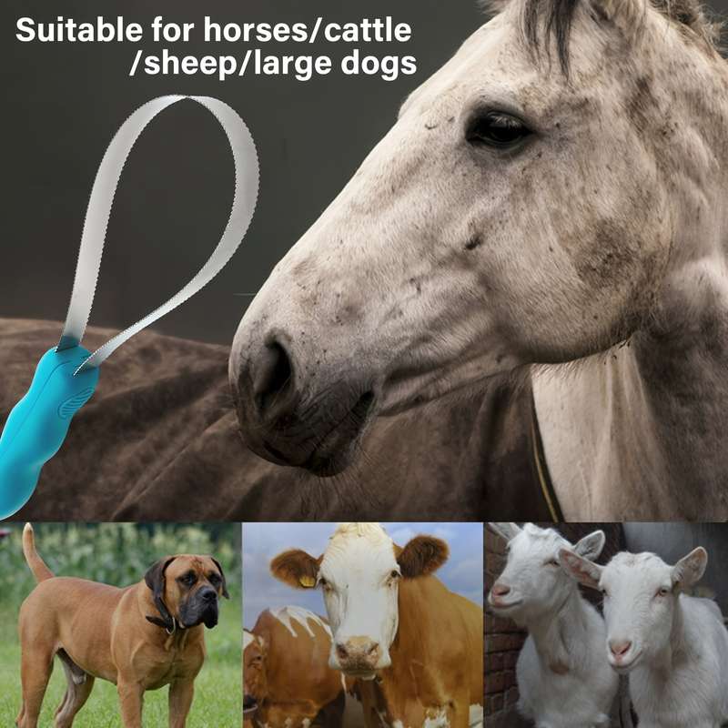 1pc One Circle Of SawTooth Blue Pet Comb