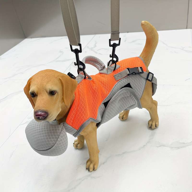 1pc S Pet Bag