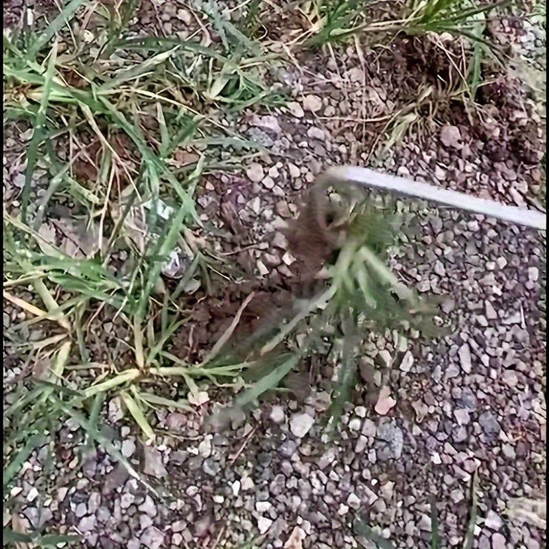 Weeding Tools