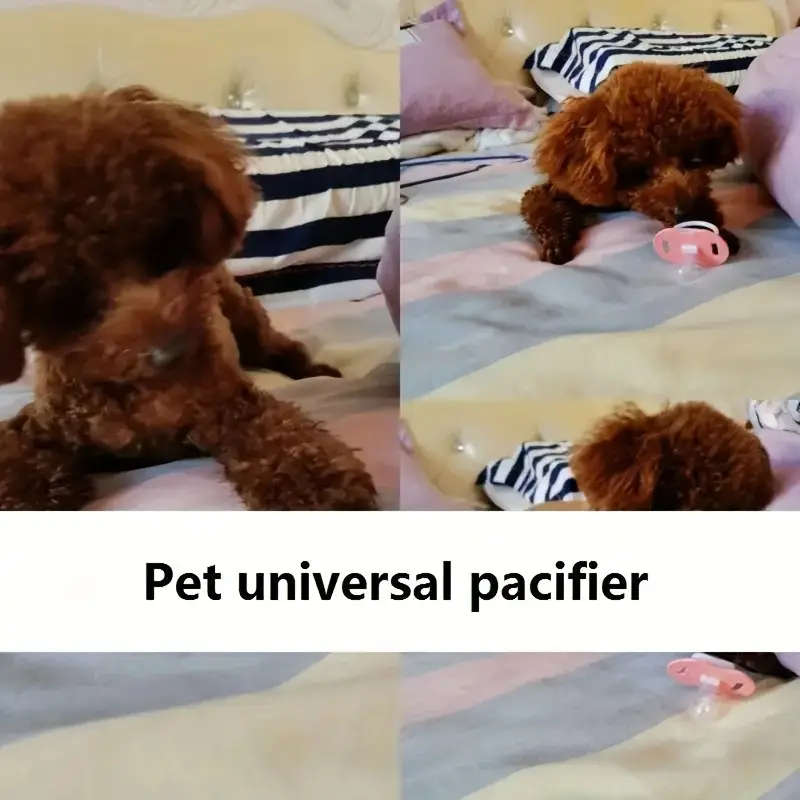 Dog Chew Toys