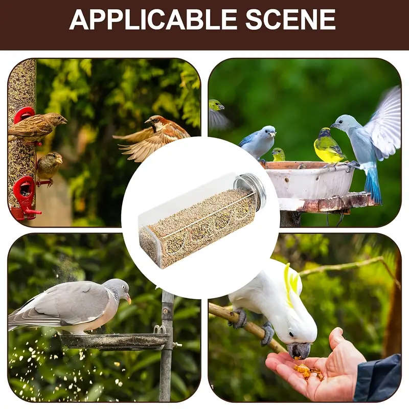 Small Bird Feeder