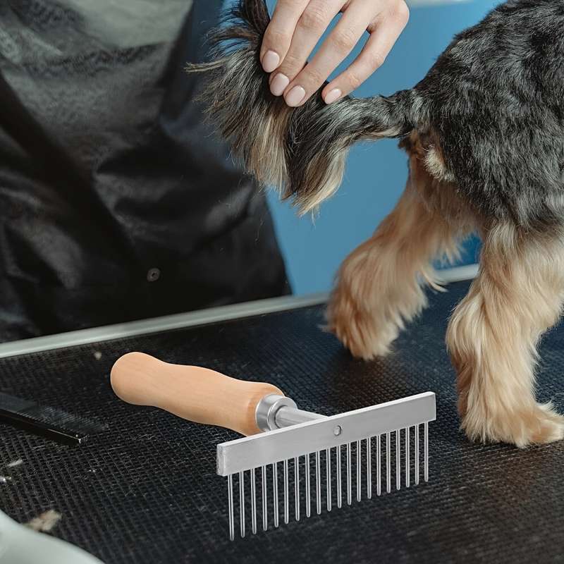 1pc Silvery Pet Comb