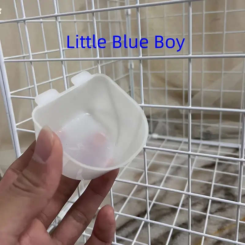 Bird Feeder
