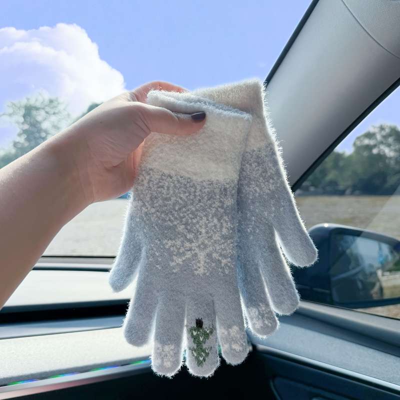 1 Pair Grey Warm Gloves