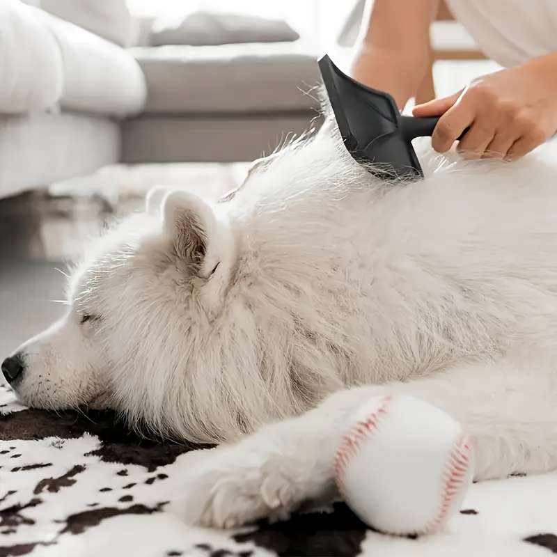 1pc Red Pet Comb