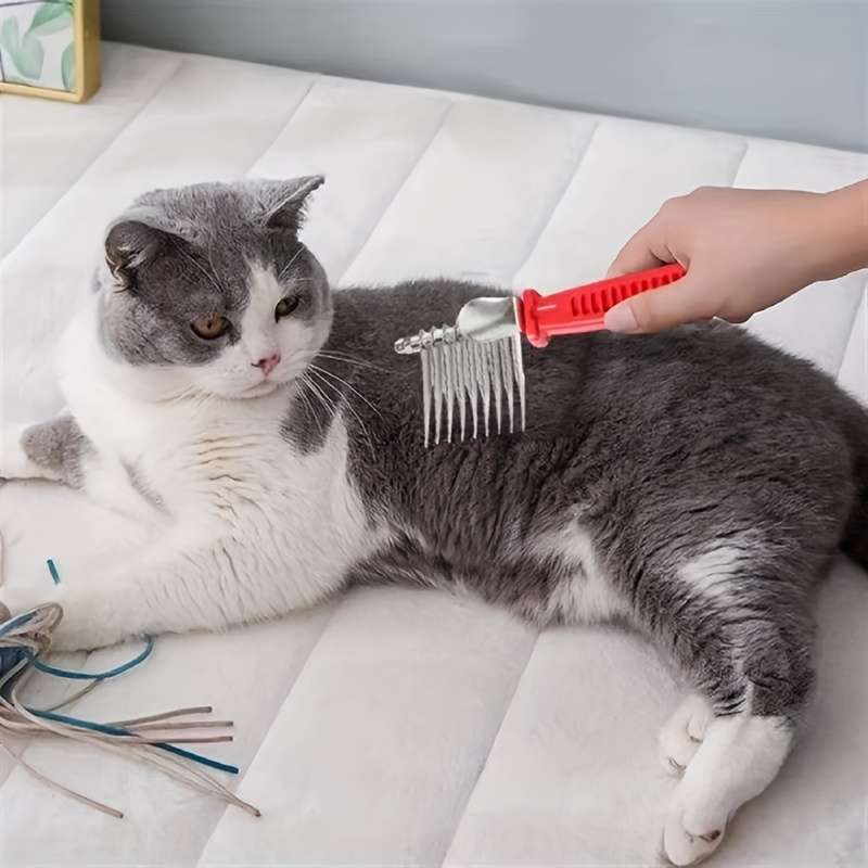 1pc Red Pet Comb