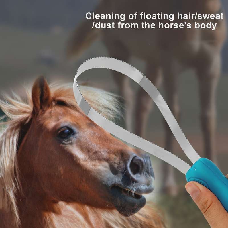 1pc One Circle Of SawTooth Blue Pet Comb