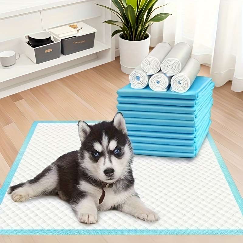 20Pcs Diaper Thickened Blue