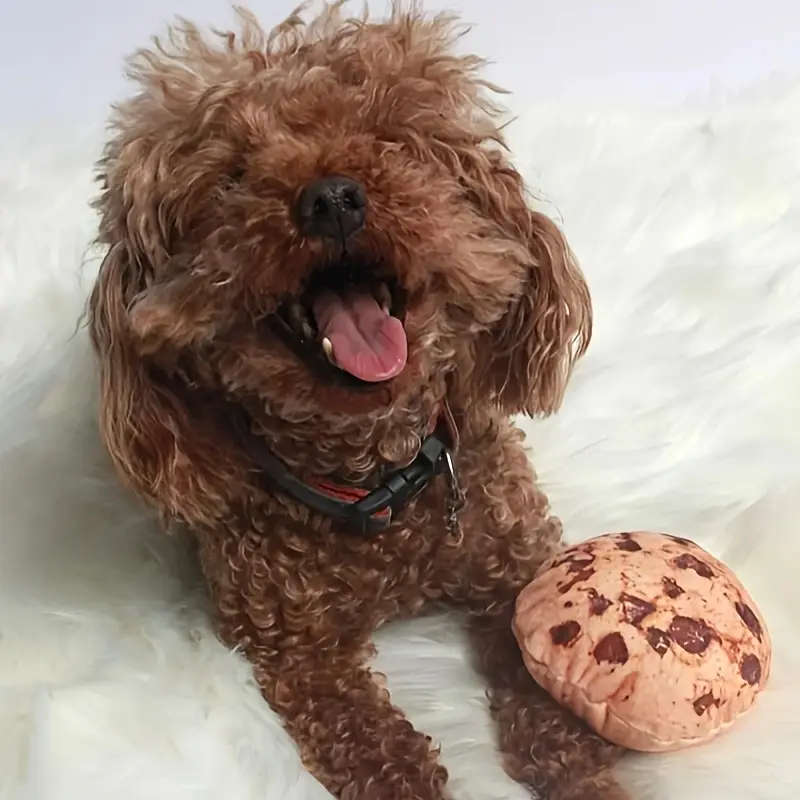 Dog Chew Toys
