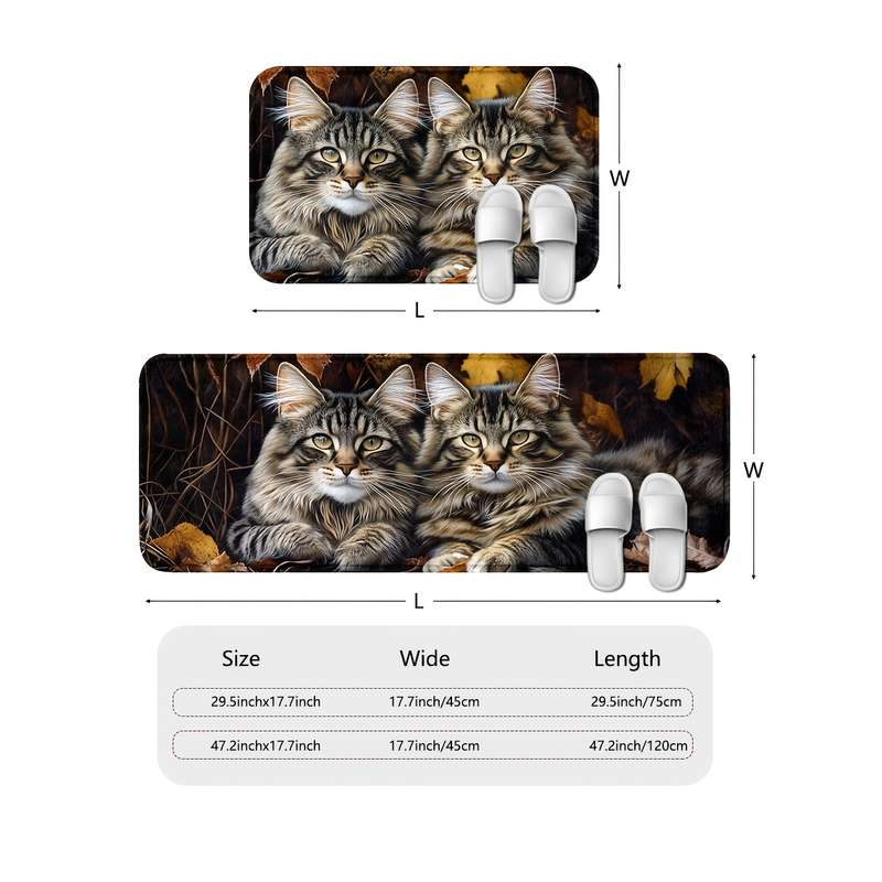 1Pc 45x75cm Floor Mat