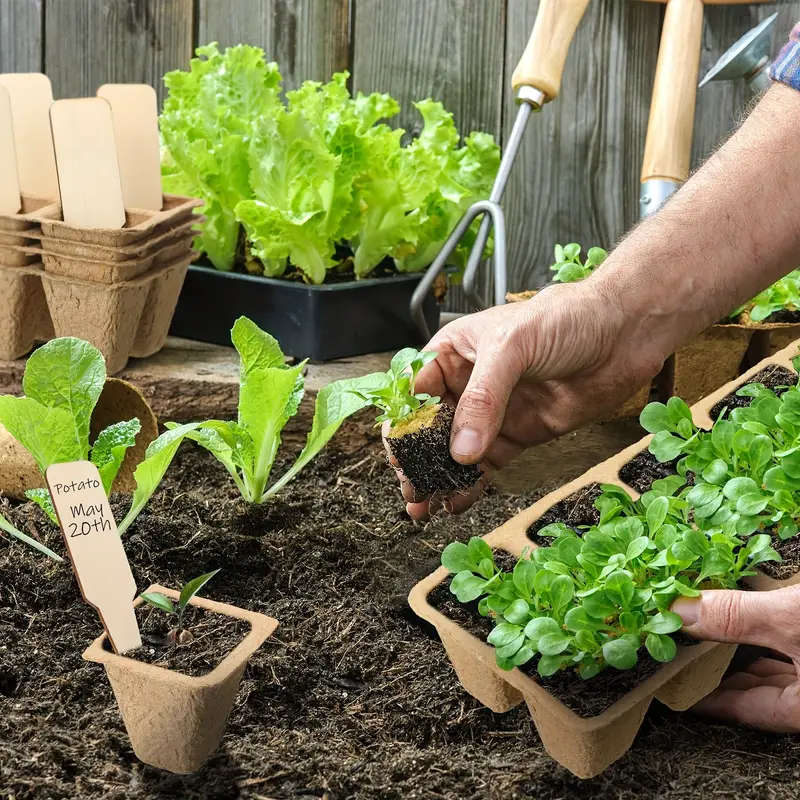 100 Cells Seedling Start Pots Trays