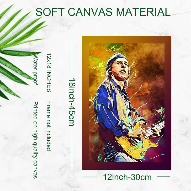 1pc  Unframed Mark Knopfler High-Definition Canvas Print Vibrant Electric Guitar Art Poster 3