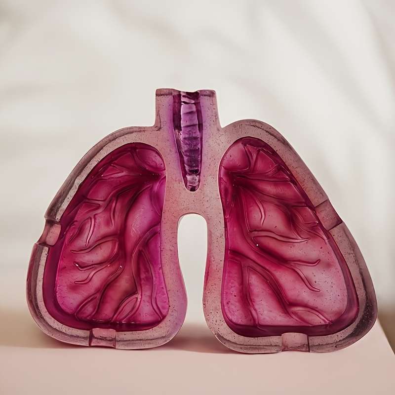 1pc Artistic Resin Ashtray with Lung Design Creative Home Office Decor Gift Unique Smoking