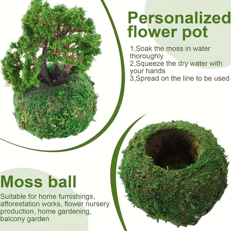 1 Exquisite Moss Plant Planting Container
