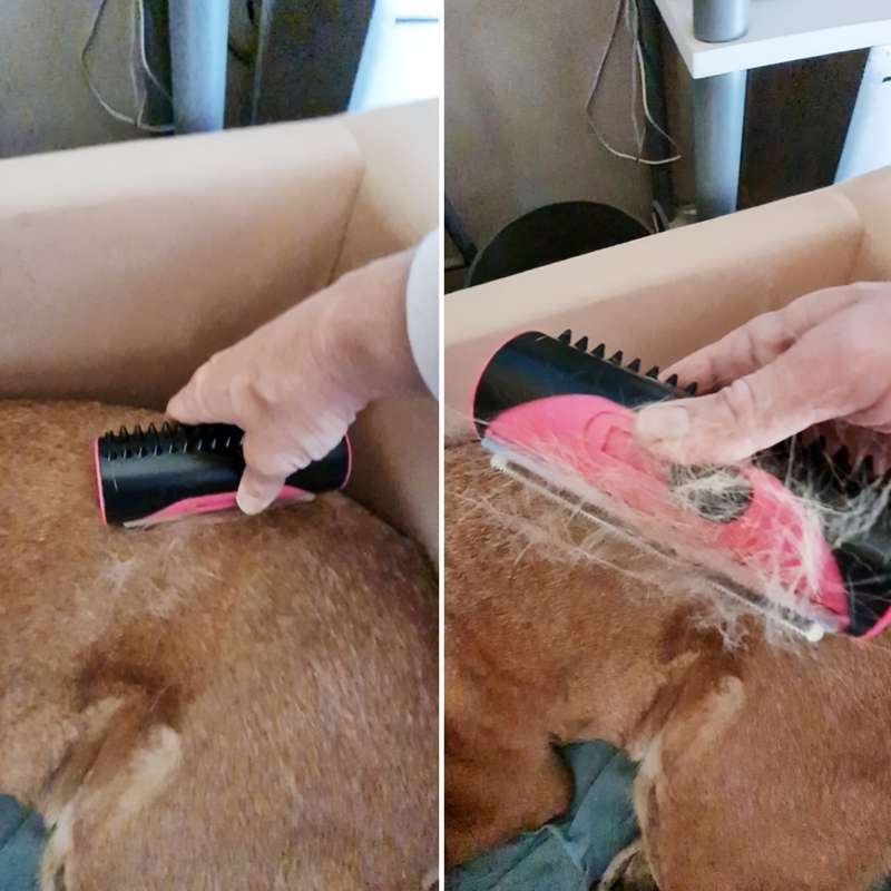 1pc Red Pet Comb