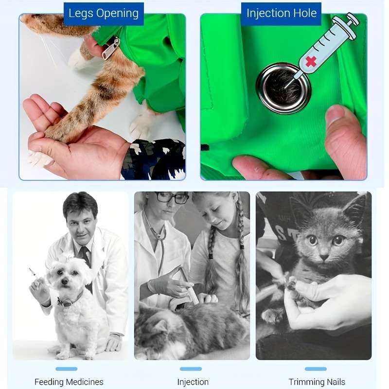 1pc Bluesize M Pet Bag