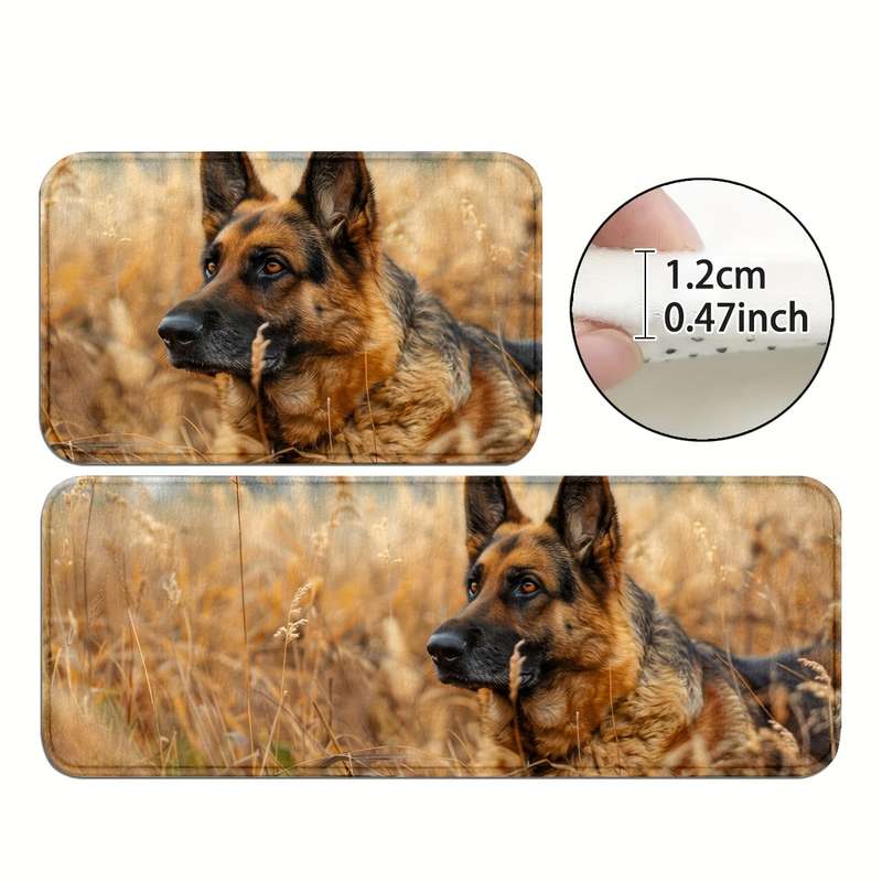 1Pc 45x75cm Floor Mat