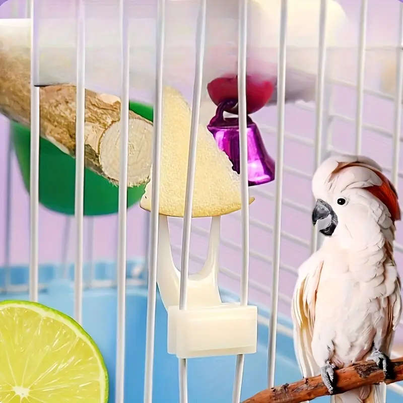 Small Bird Feeder
