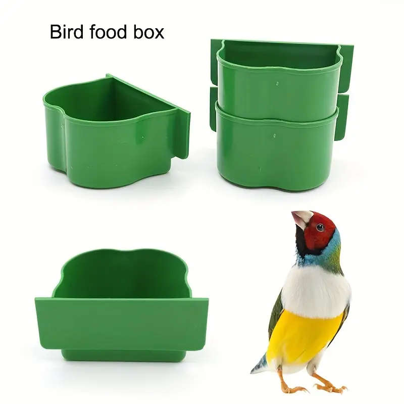 Bird Feeder