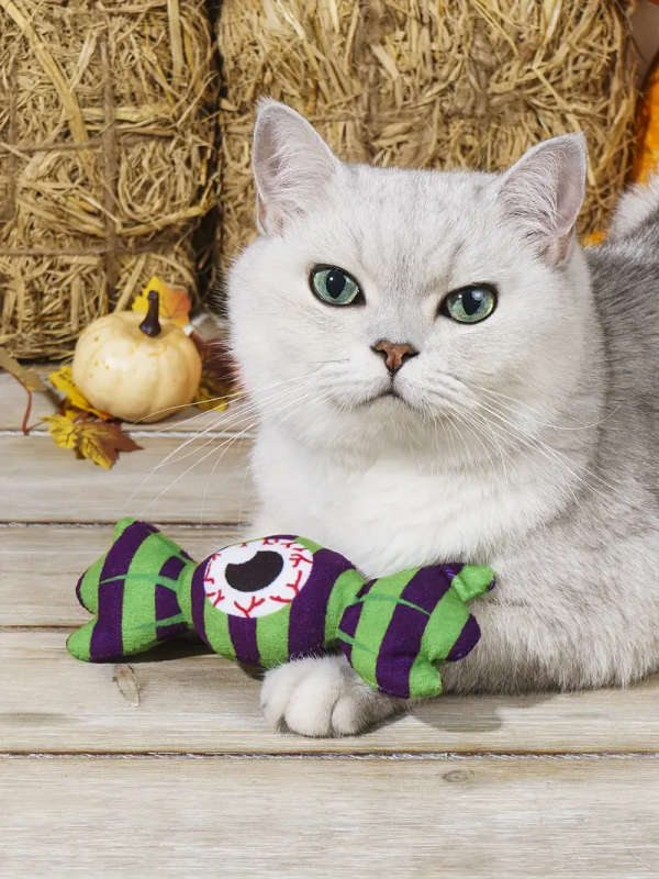Pet Chew Toy