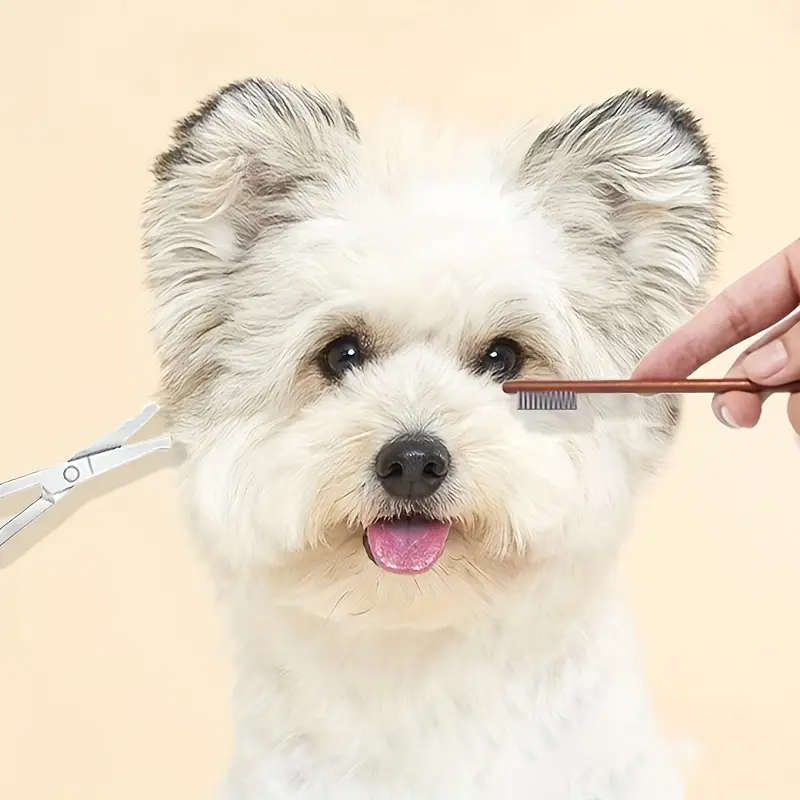 Pet Comb