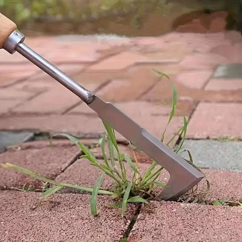 1 Stainless Steel Weeding Tool