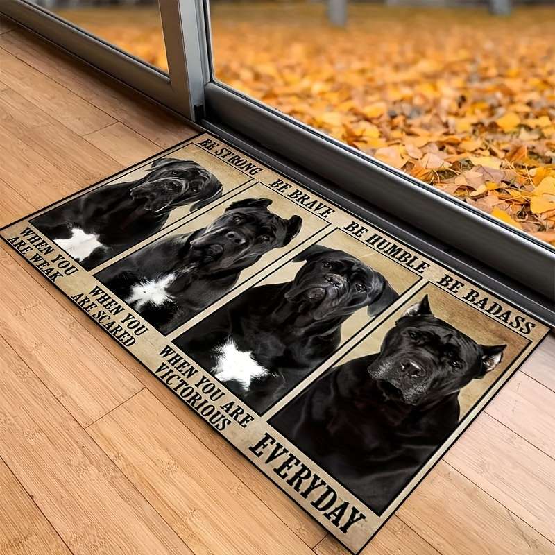 1Pc 48.26x78.74cm Floor Mat