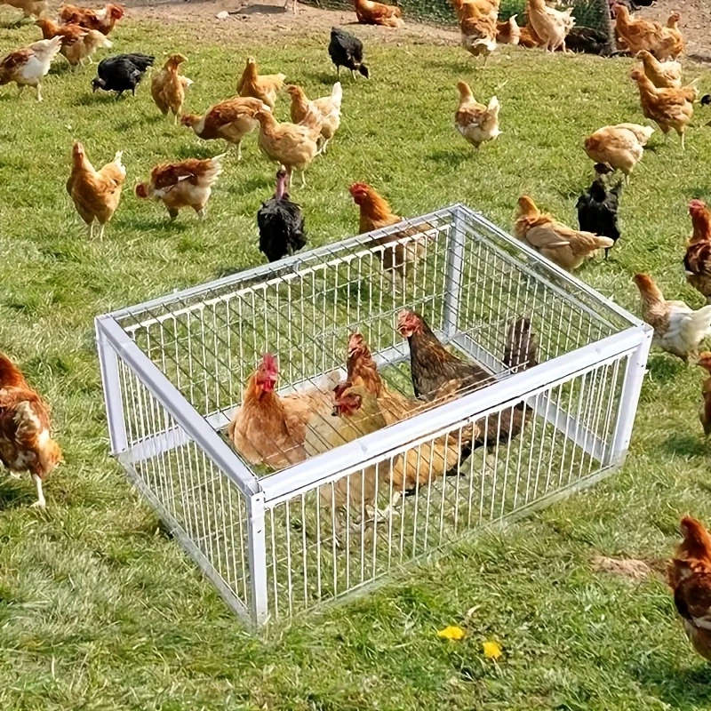 Pet Cage