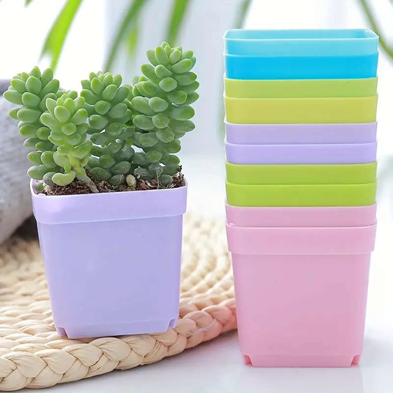 Mini Square Flower Pots Set Of 10