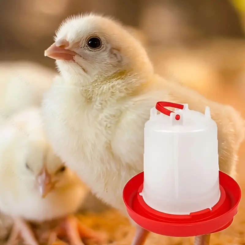 4-Piece Plastic Poultry Drinker Kit