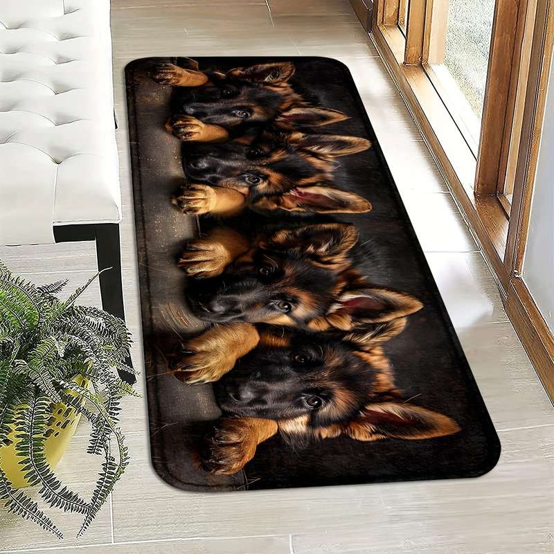 1Pc 45x75cm Floor Mat