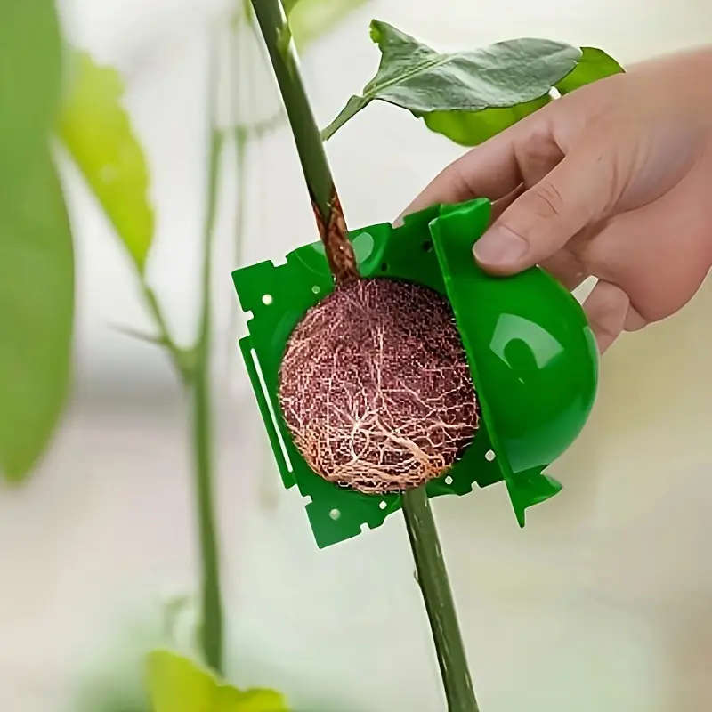 5Pcs Root Growth Boxes