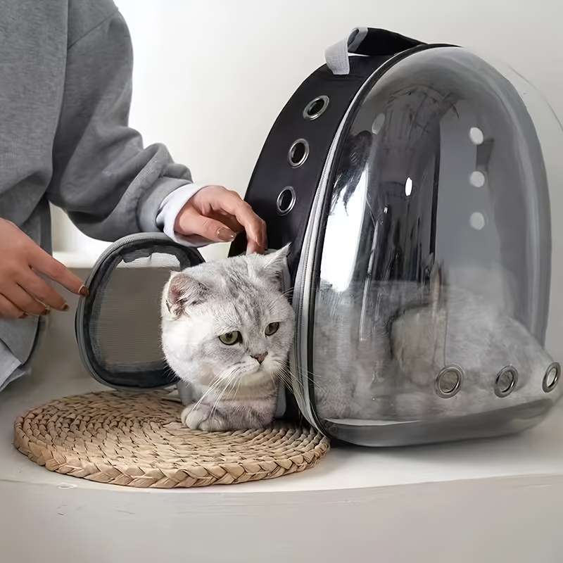 1pc Star Black Pet Bag