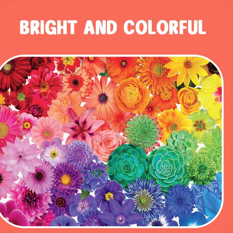 1000 Piece Paper Jigsaw Puzzle For Adults