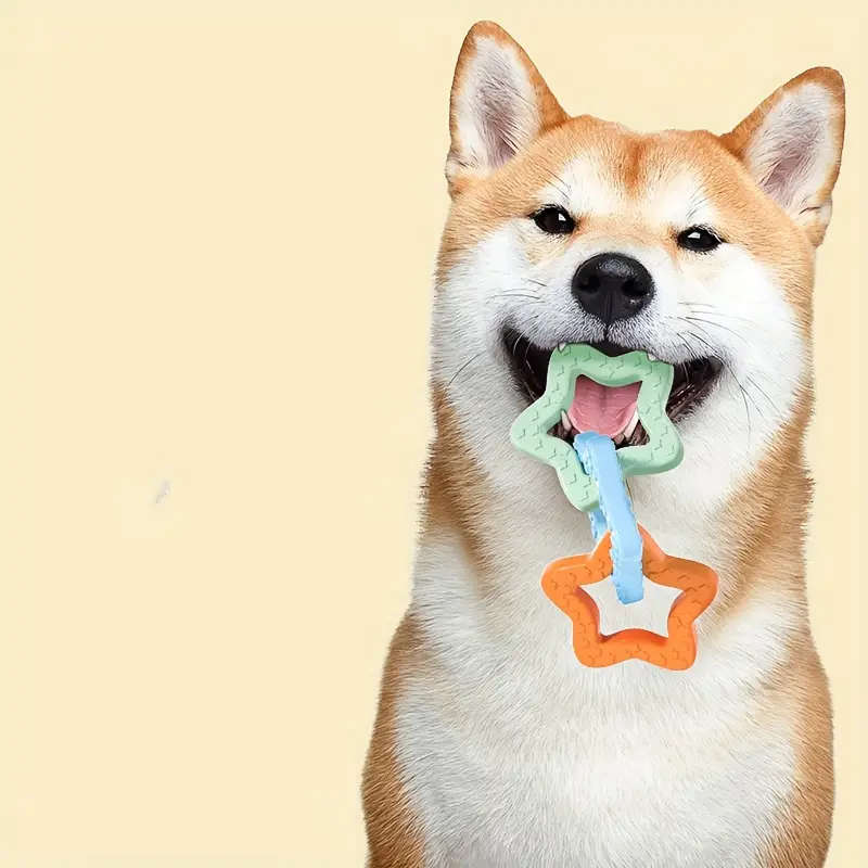Pet Chew Toys