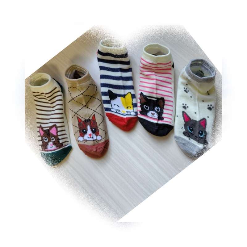 5 Pairs Mixed Colors One Size High Elastic Socks