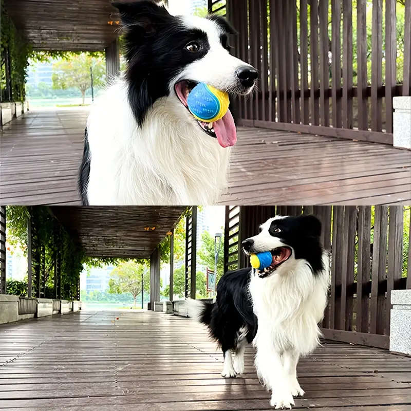 Dog Chew Toys