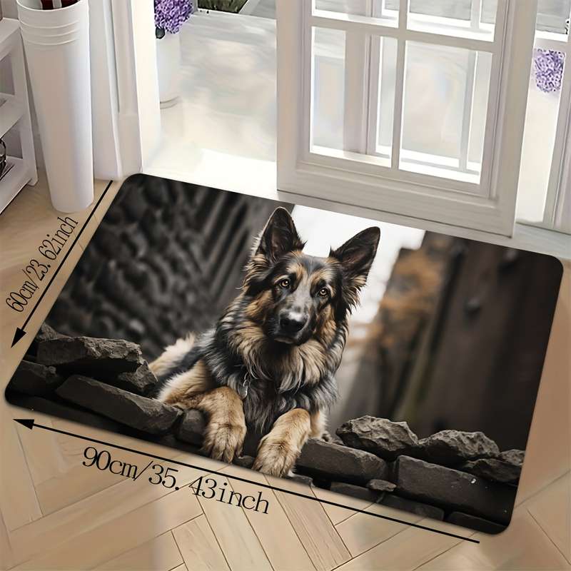 1Pc 50x80cm 19.69x31.5inch Floor Mat