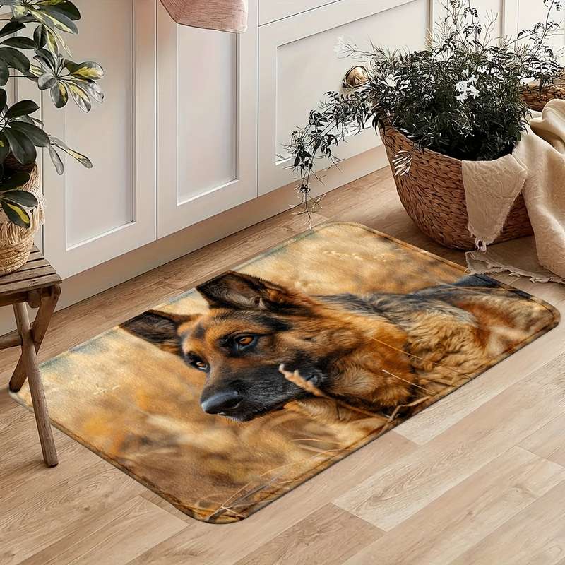 1Pc 45x75cm Floor Mat
