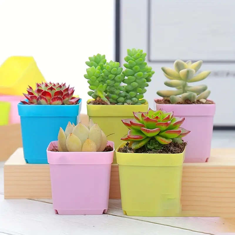 Mini Square Flower Pots Set Of 10