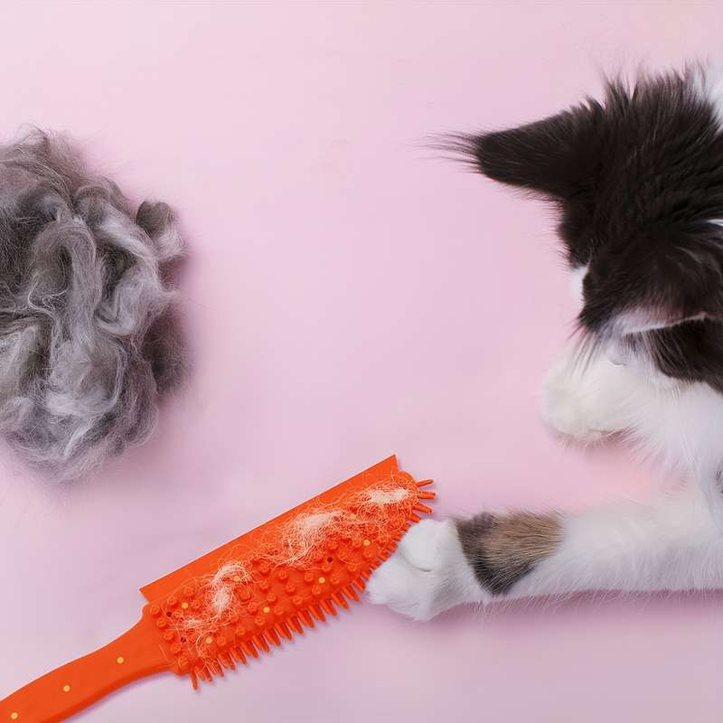 1pc Orange Pet Comb