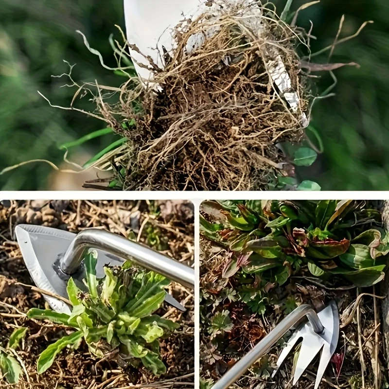 Weeding Tools