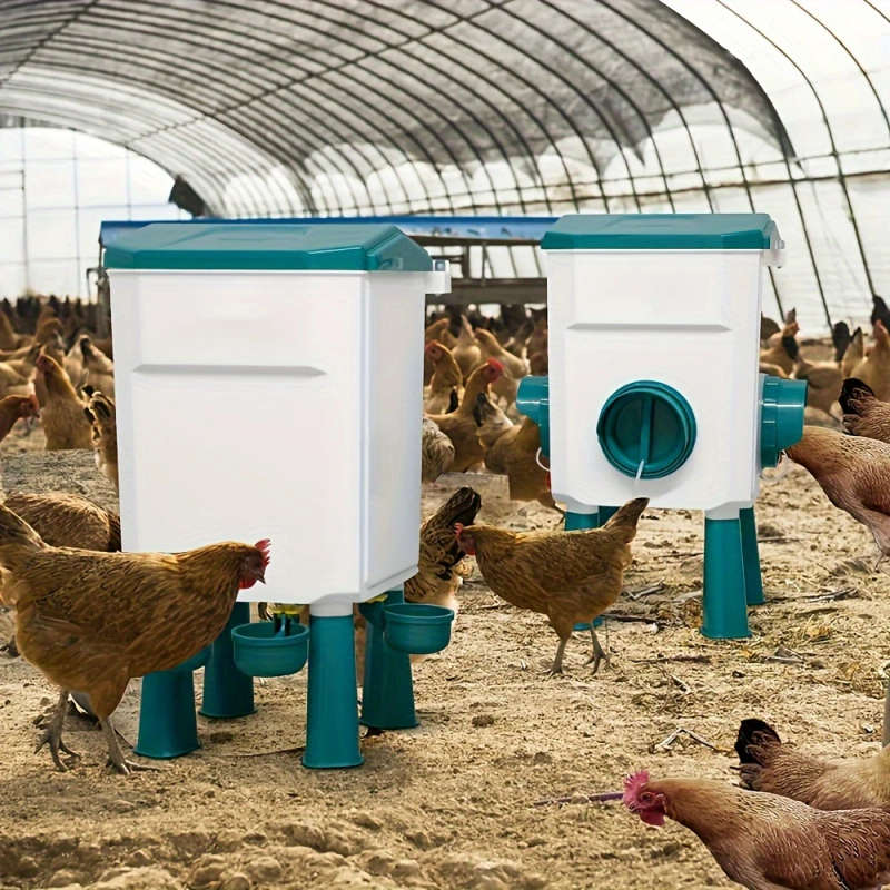 Automatic Chicken Feeder