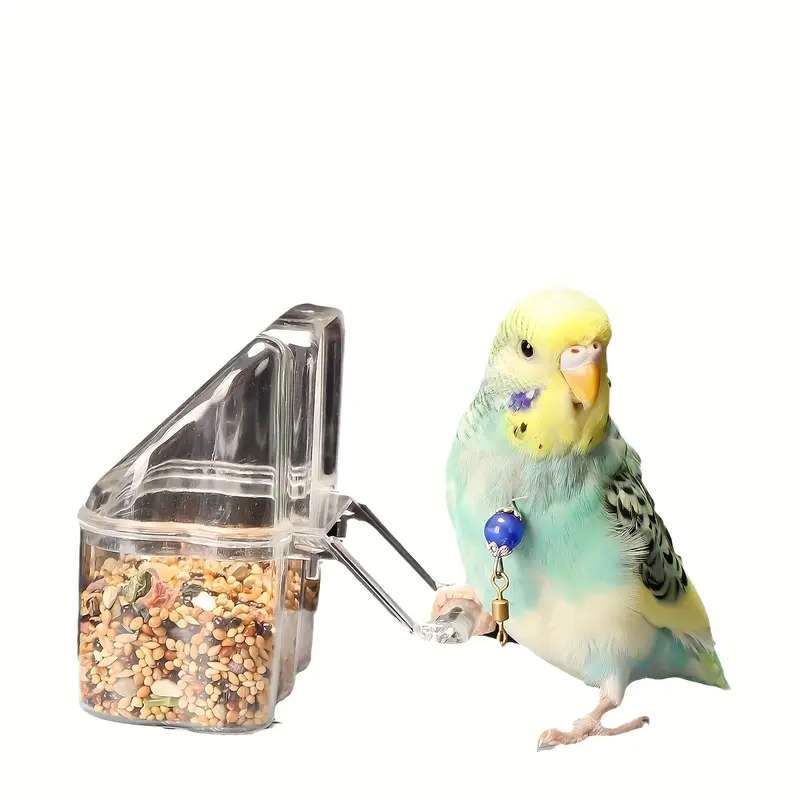 Small Bird Feeder