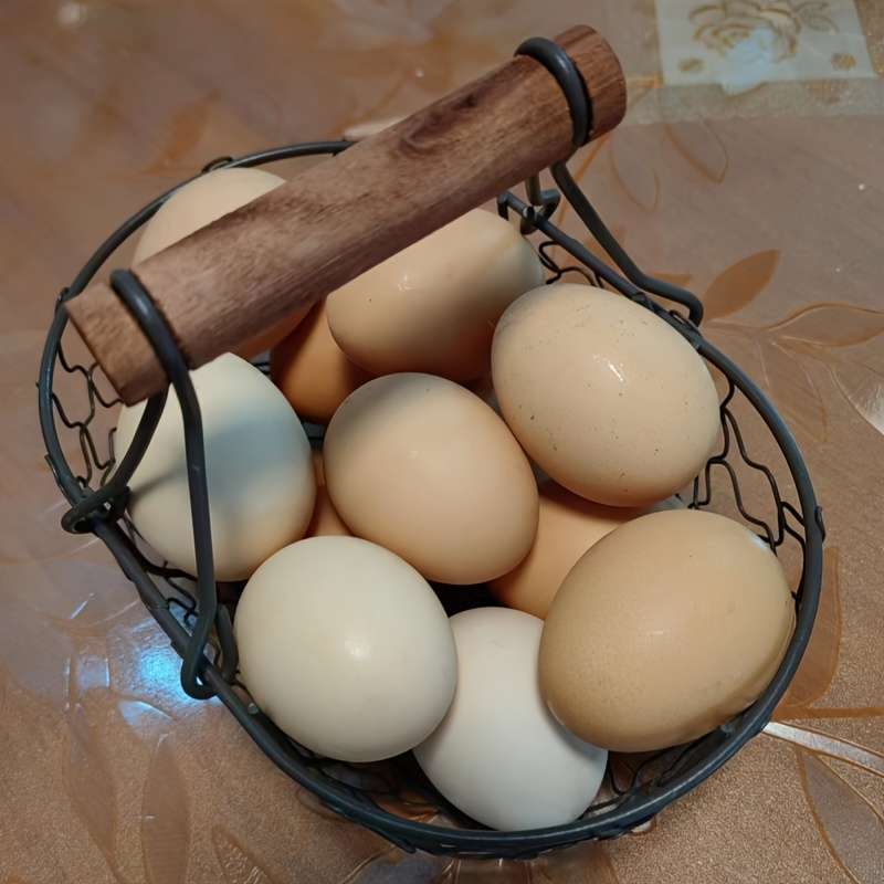 1pc Rustic Farmhouse Style Egg Basket Durable Iron Wood Wire Storage for Eggs Bread Fruit an