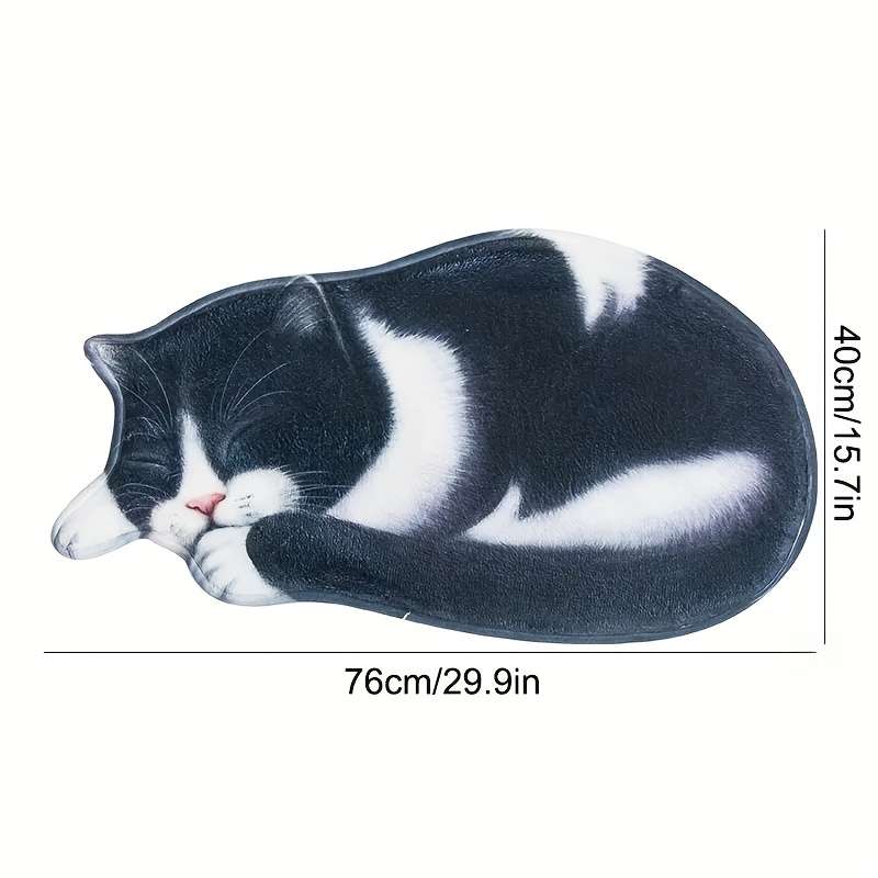 1Pc 40x76cm 15.75x30inch Floor Mat
