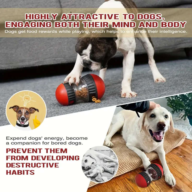 Dog Educational Toys